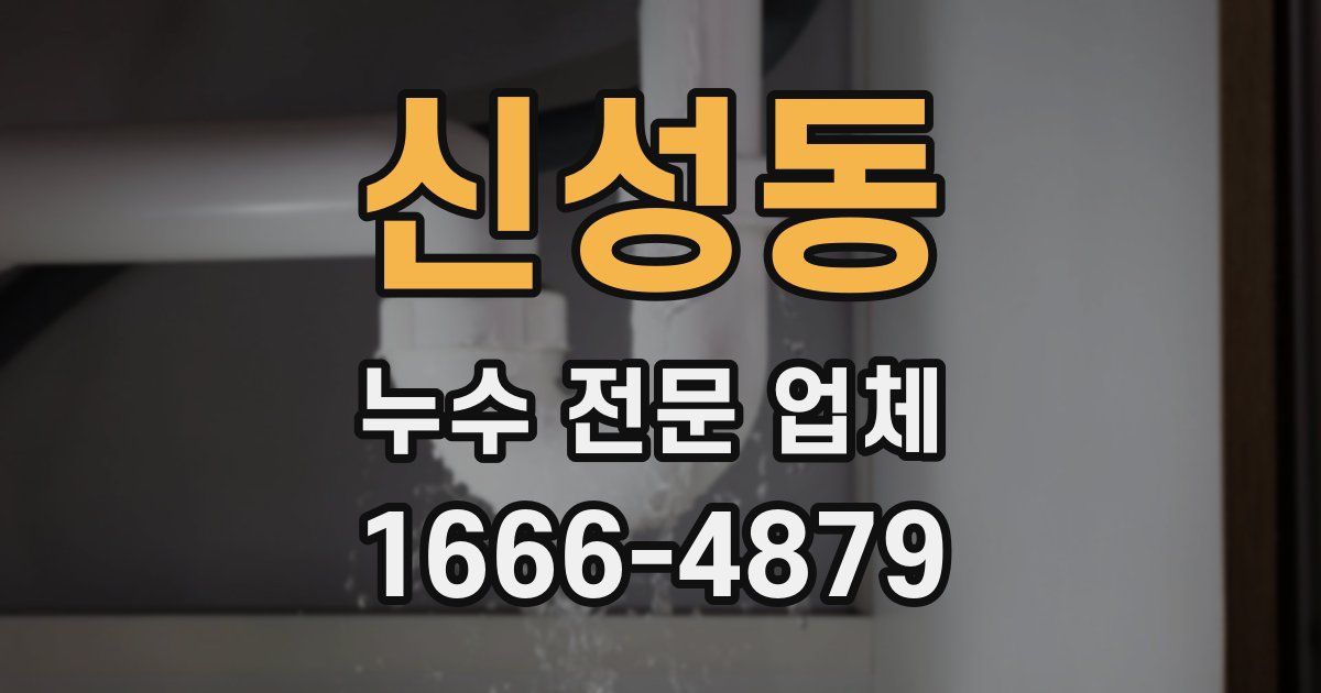 신성동 누수 전문 업체