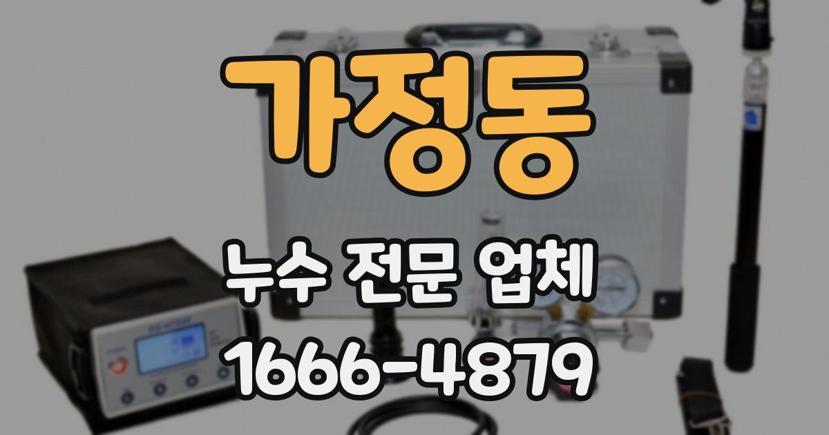 가정동 누수 전문 업체