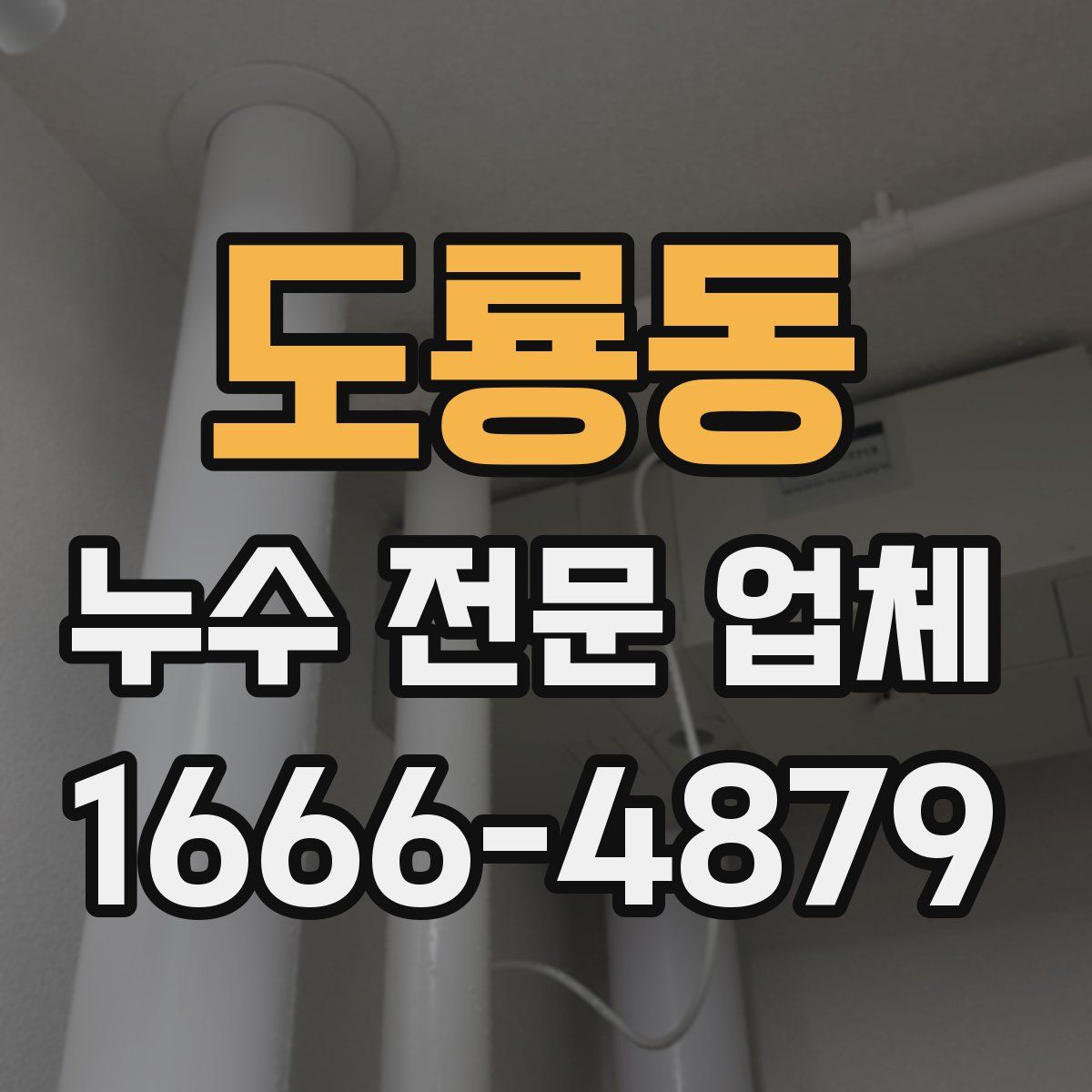 도룡동 누수 전문 업체