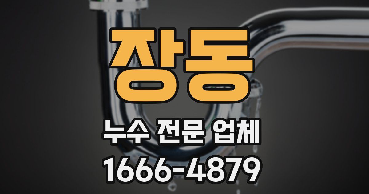 장동 누수 전문 업체