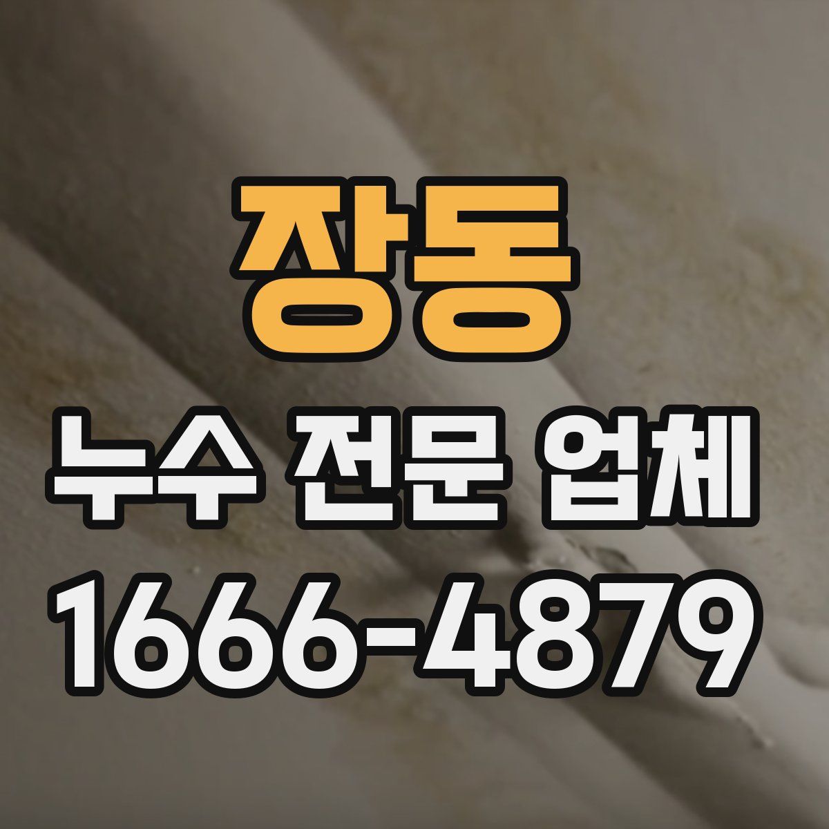 장동 누수 전문 업체