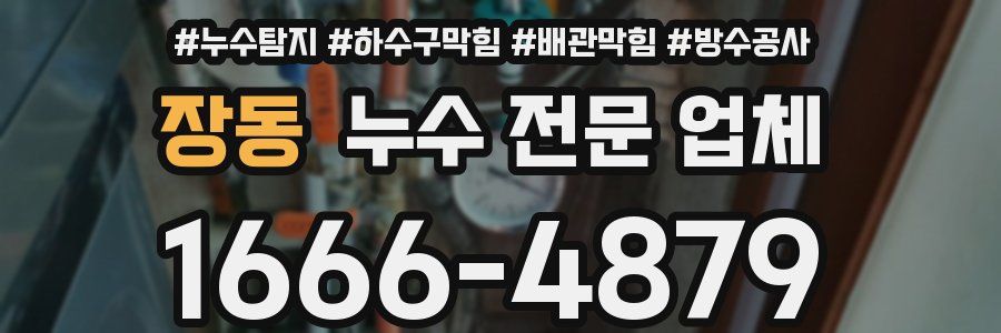 장동 누수 전문 업체