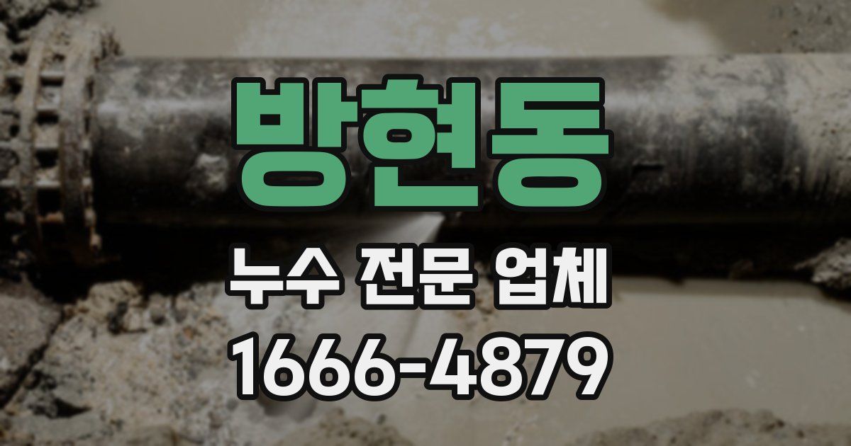 방현동 누수 전문 업체