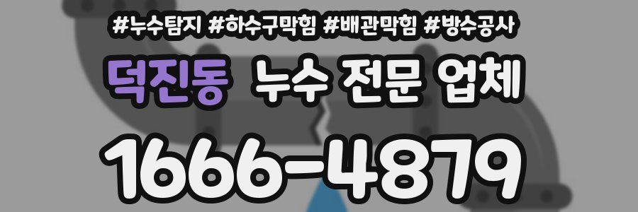 덕진동 누수 전문 업체