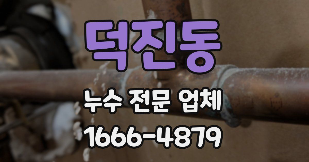 덕진동 누수 전문 업체