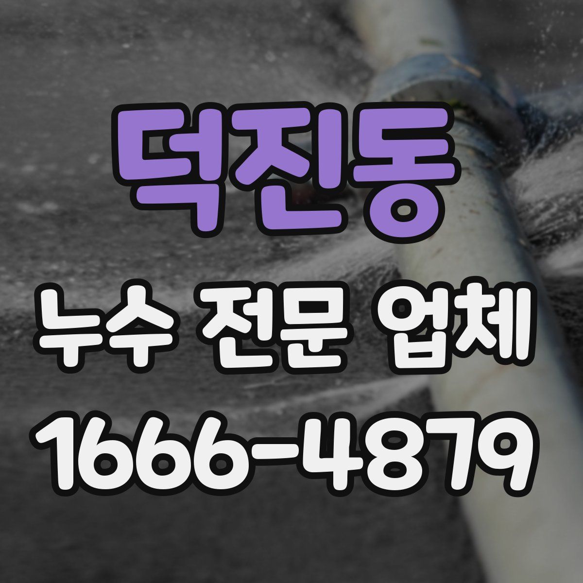 덕진동 누수 전문 업체