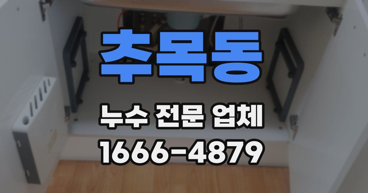 추목동 누수 전문 업체