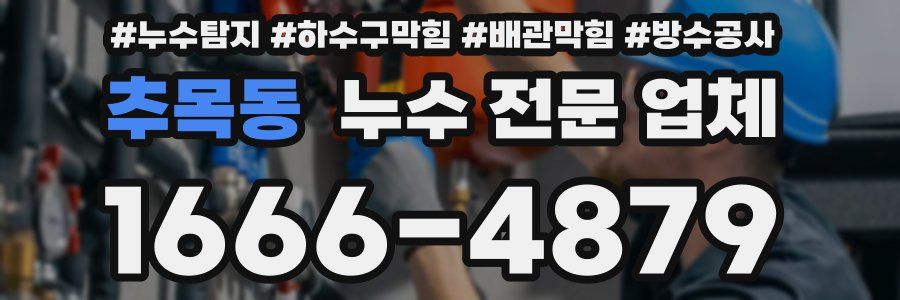 추목동 누수 전문 업체