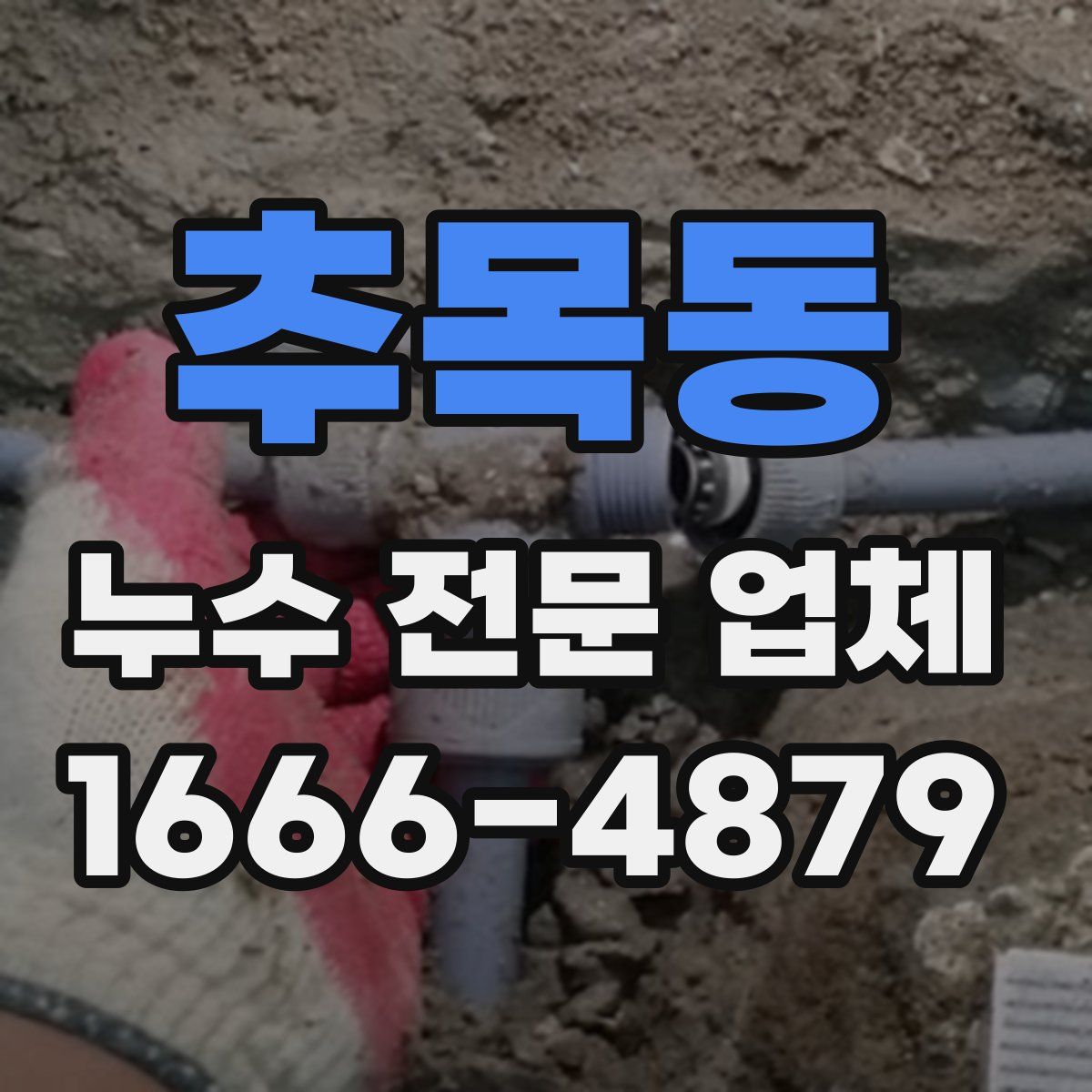 추목동 누수 전문 업체