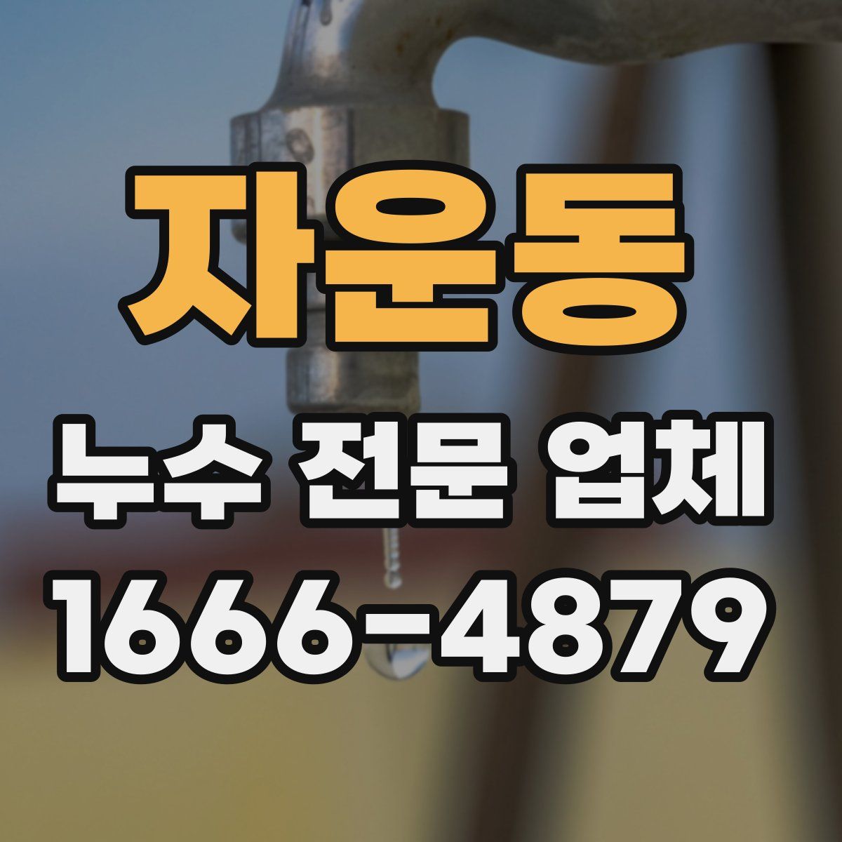 자운동 누수 전문 업체