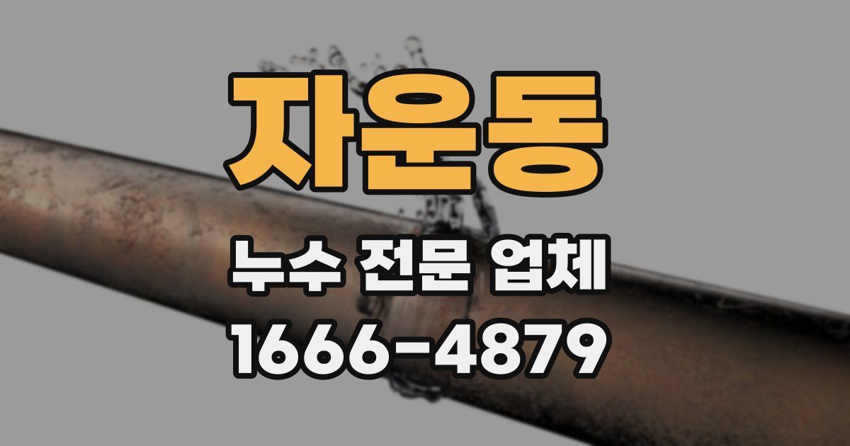 자운동 누수 전문 업체