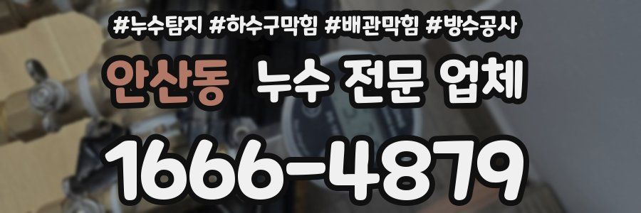 안산동 누수 전문 업체
