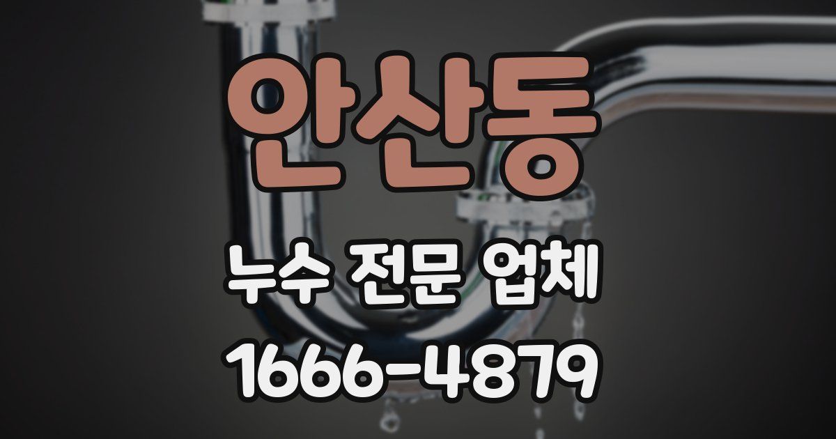 안산동 누수 전문 업체