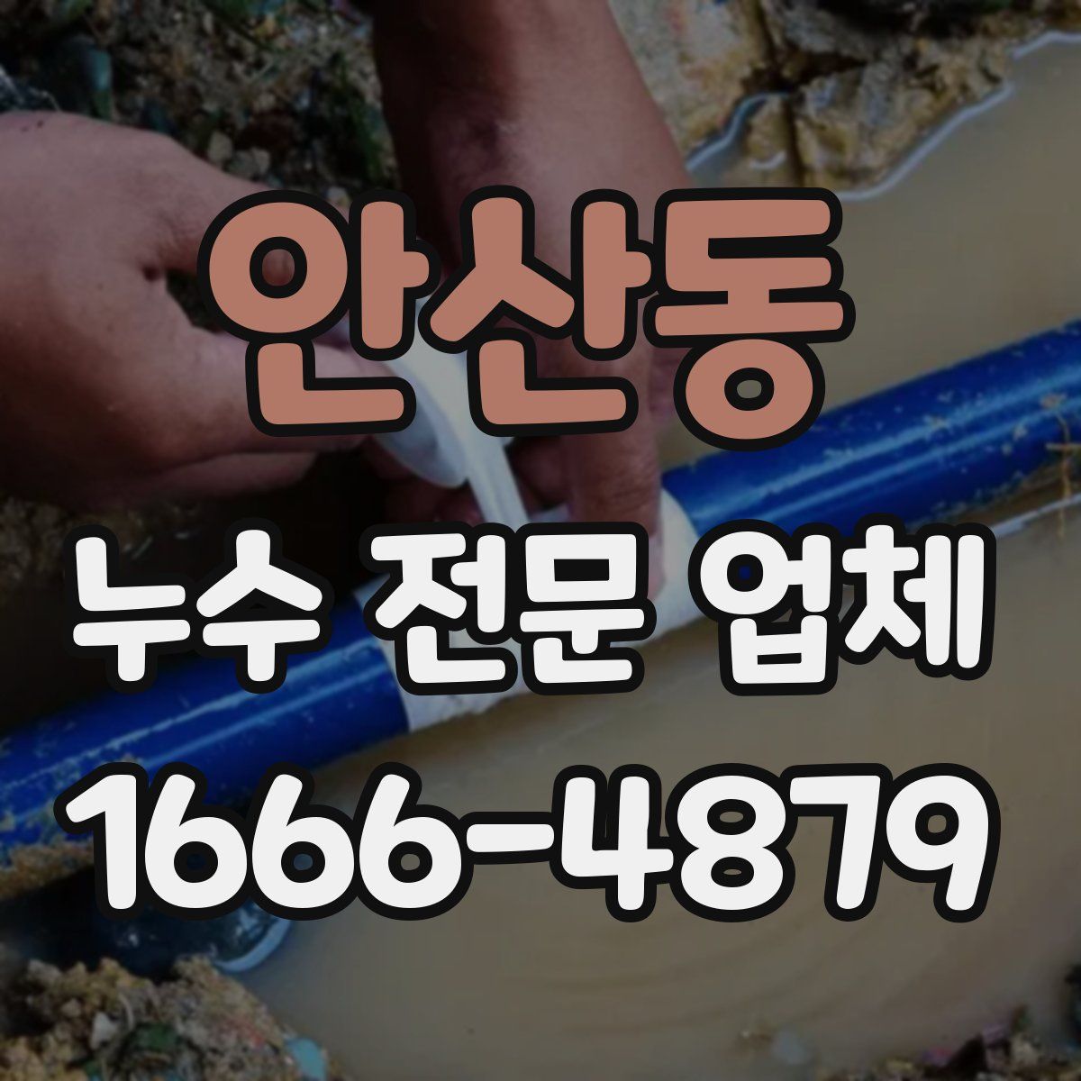 안산동 누수 전문 업체