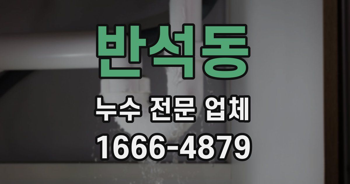 반석동 누수 전문 업체