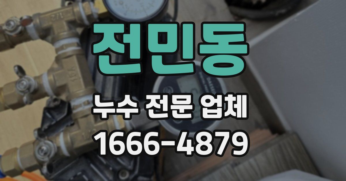 전민동 누수 전문 업체