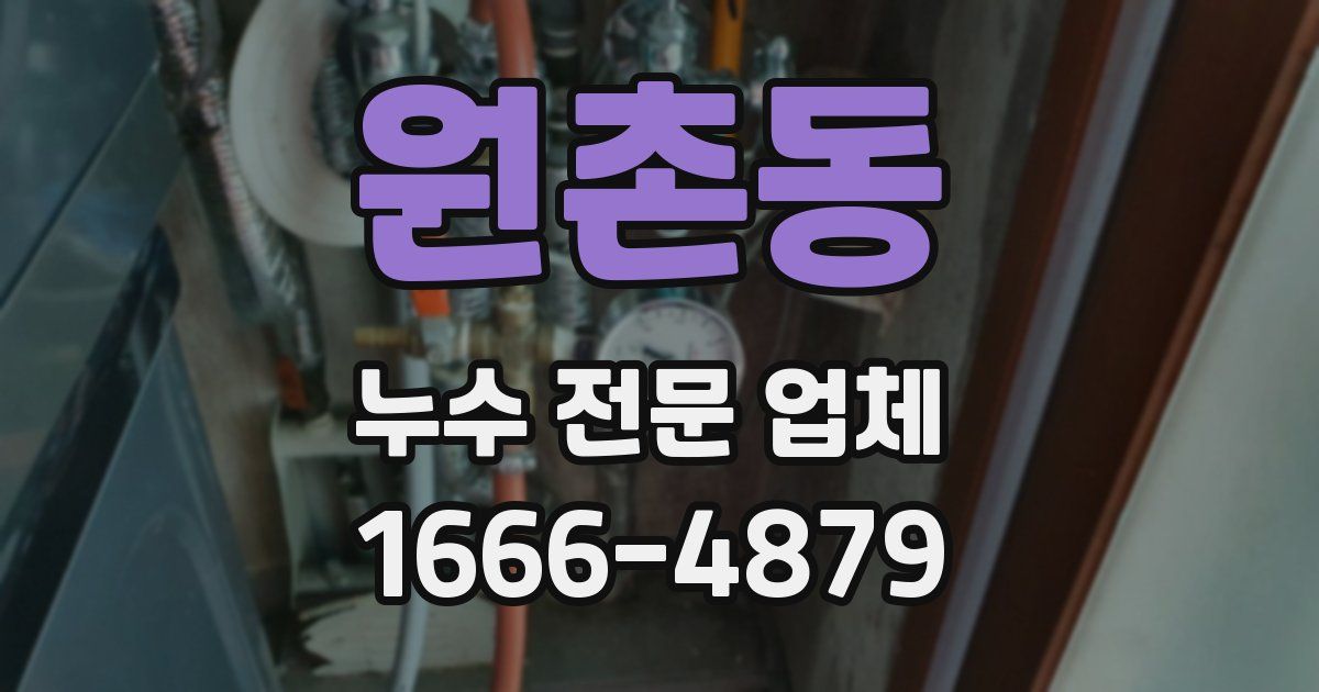 원촌동 누수 전문 업체