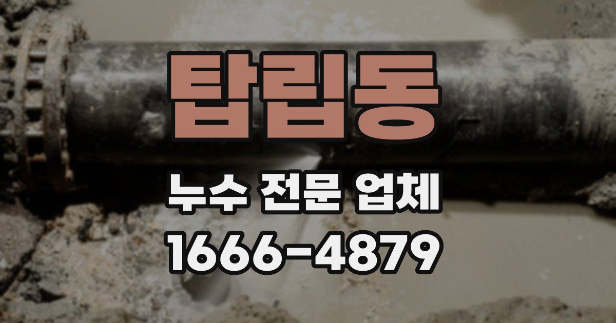 탑립동 누수 전문 업체