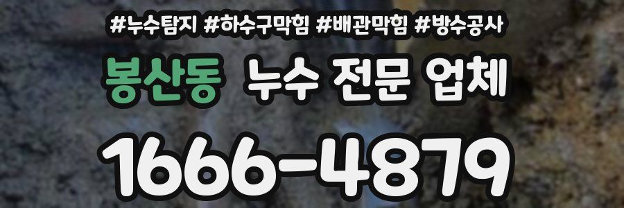 봉산동 누수 전문 업체