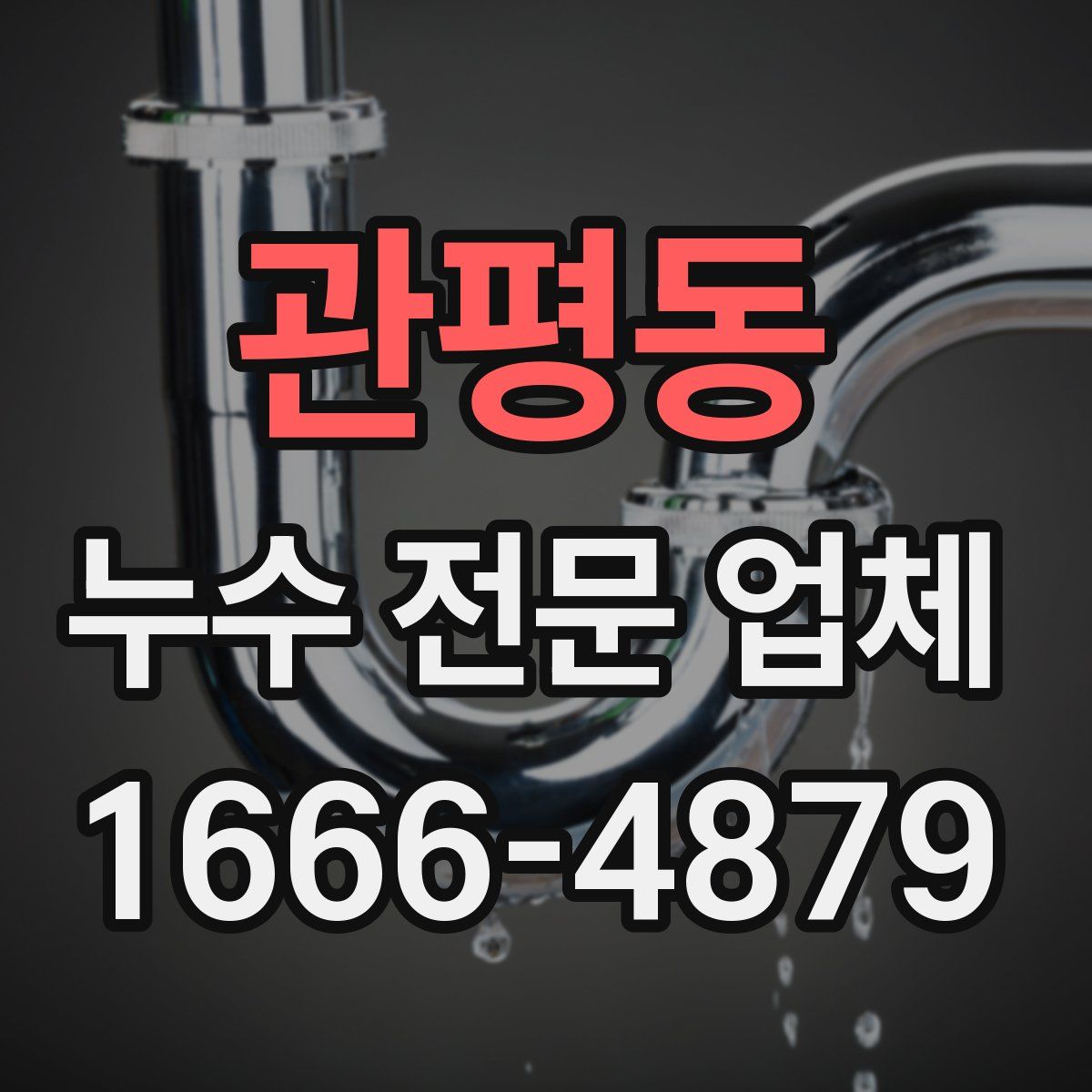 관평동 누수 전문 업체