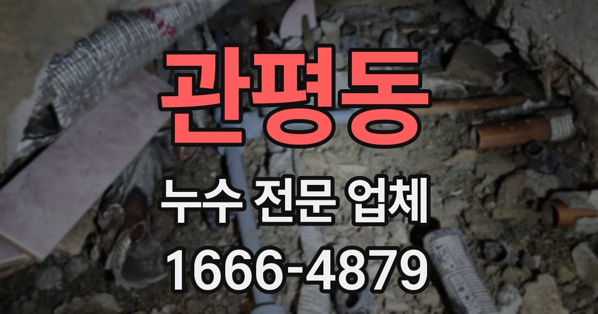 관평동 누수 전문 업체