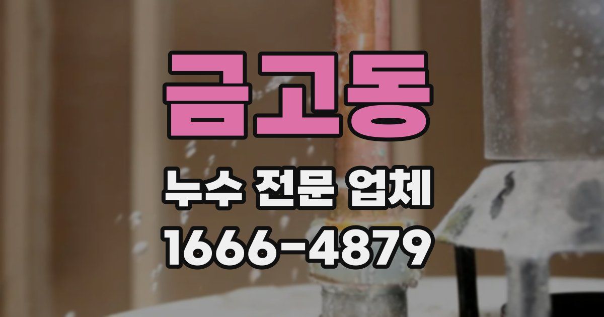 금고동 누수 전문 업체