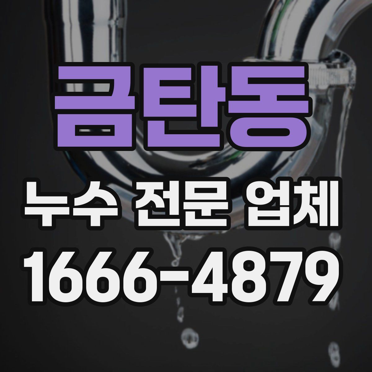 금탄동 누수 전문 업체