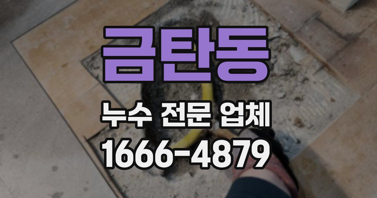 금탄동 누수 전문 업체