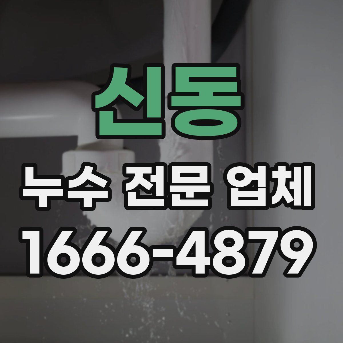 신동 누수 전문 업체