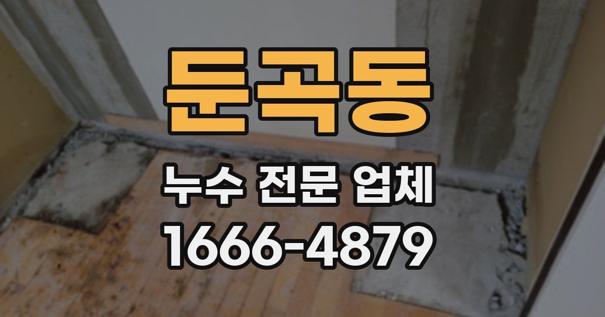 둔곡동 누수 전문 업체