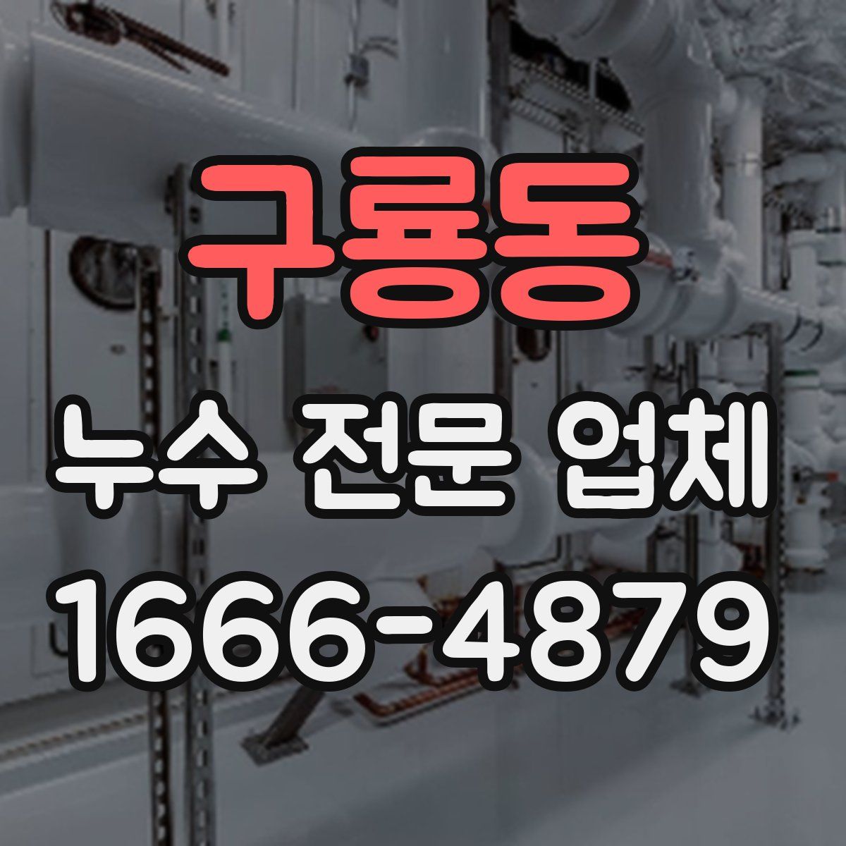 구룡동 누수 전문 업체