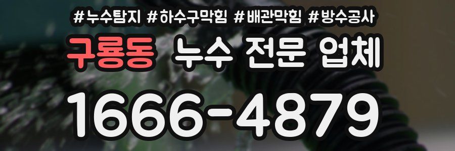 구룡동 누수 전문 업체