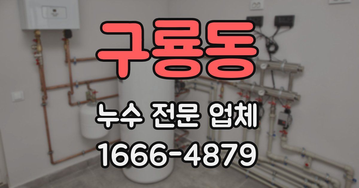 구룡동 누수 전문 업체