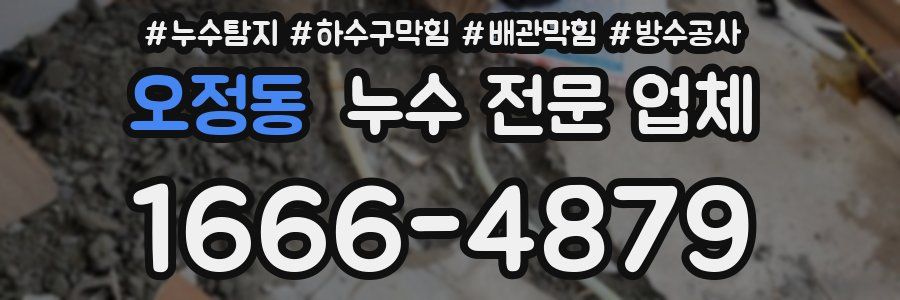 오정동 누수 전문 업체