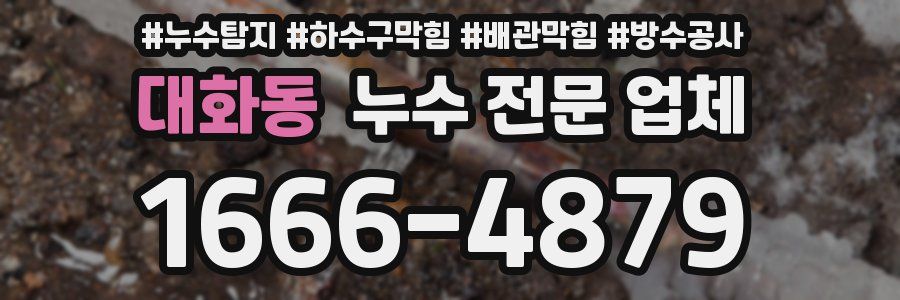 대화동 누수 전문 업체