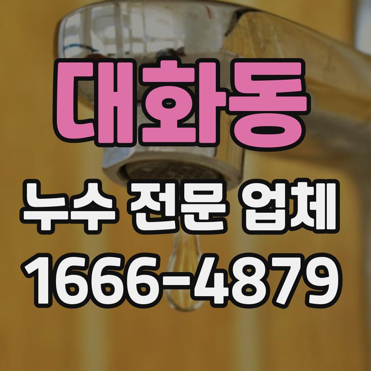 대화동 누수 전문 업체