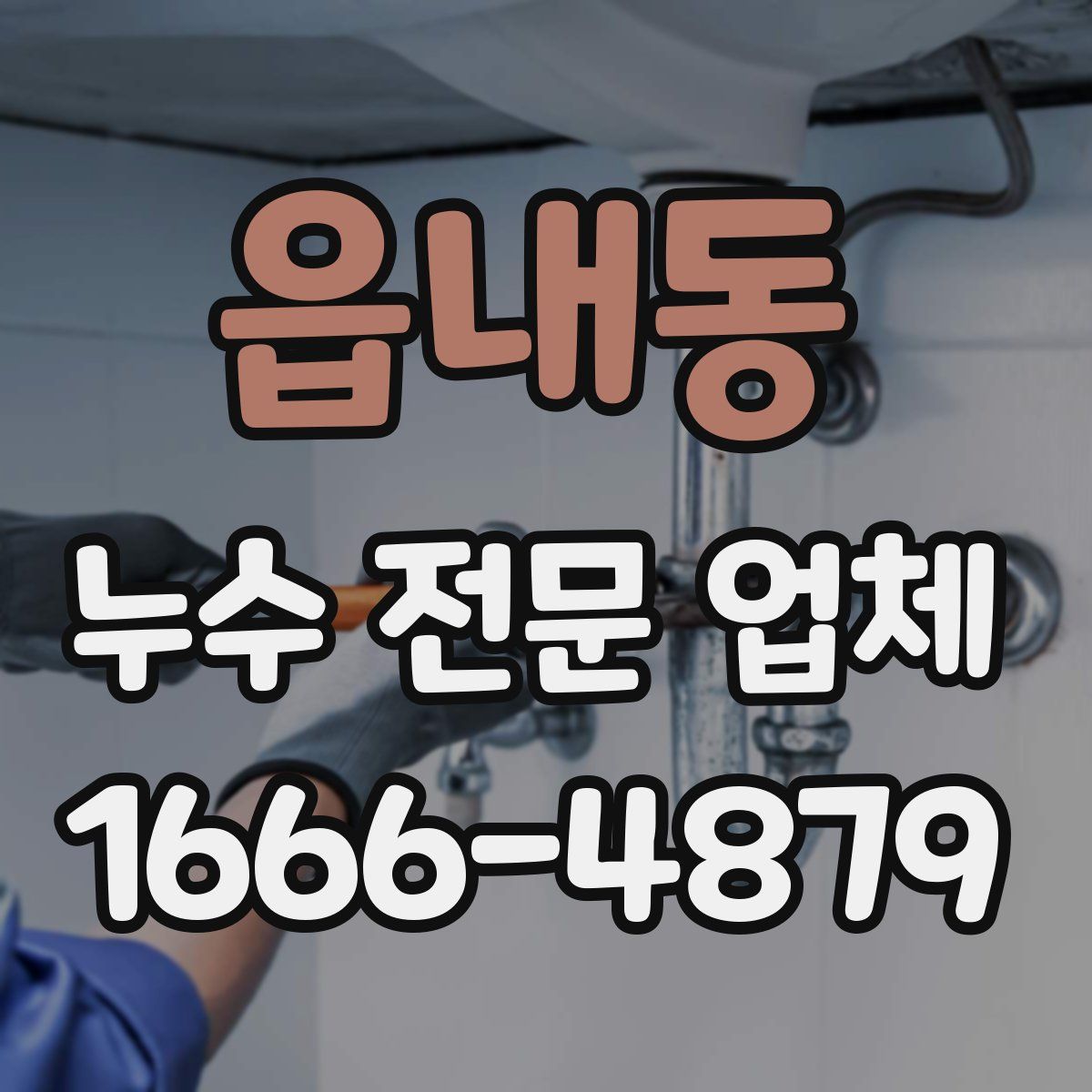 읍내동 누수 전문 업체