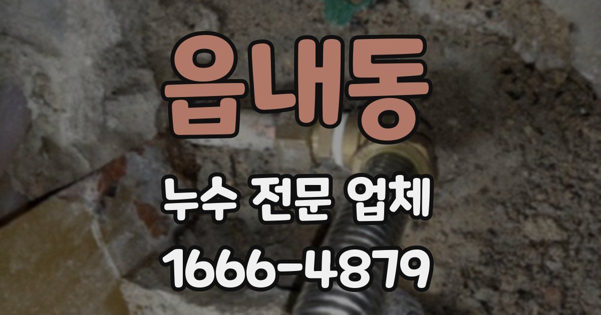 읍내동 누수 전문 업체