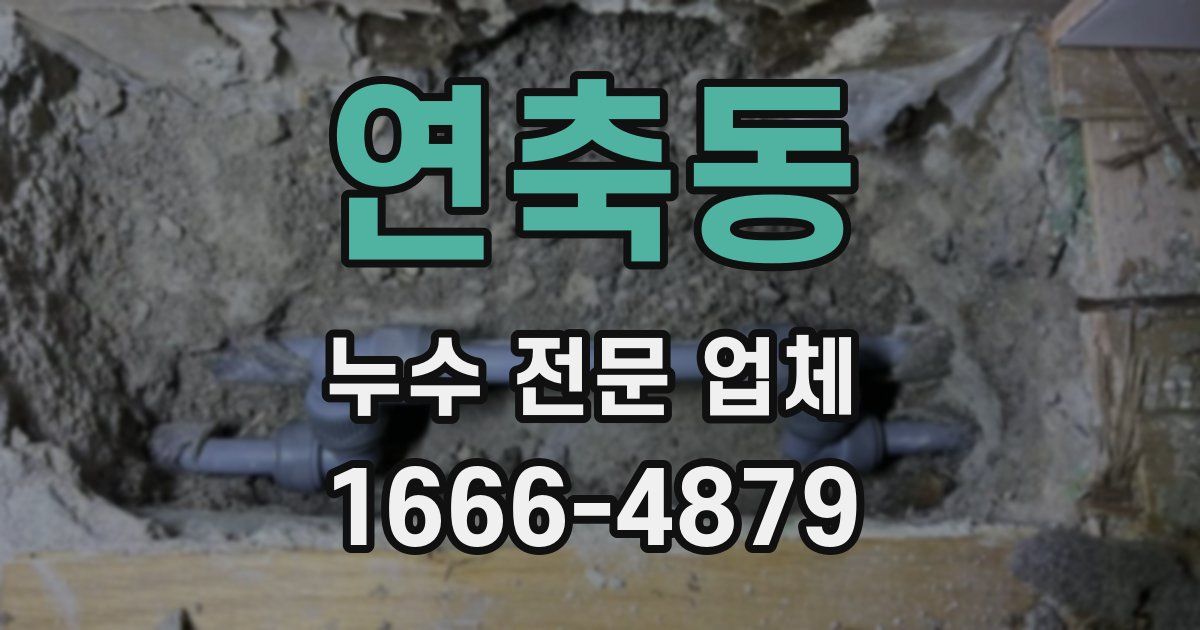 연축동 누수 전문 업체