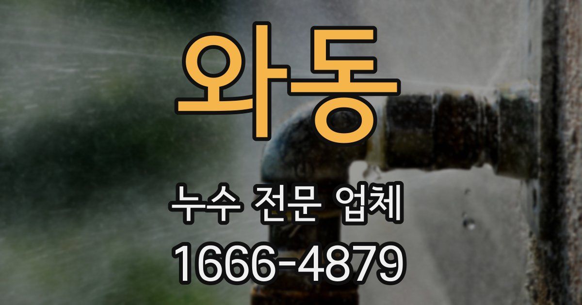 와동 누수 전문 업체