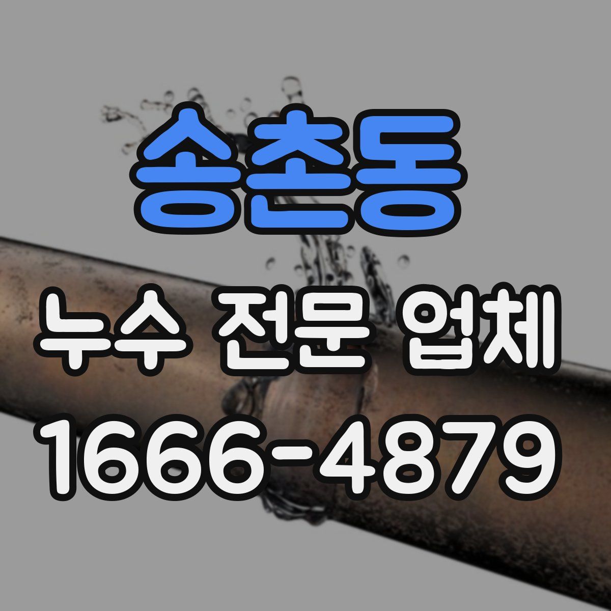 송촌동 누수 전문 업체