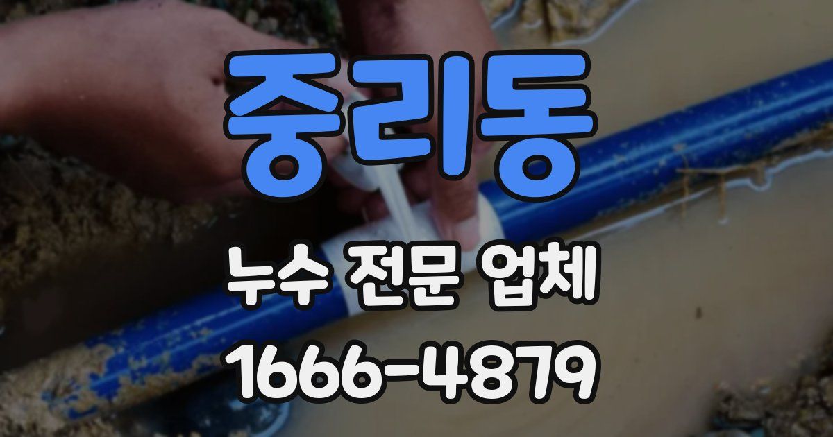 중리동 누수 전문 업체