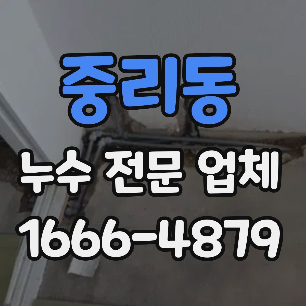 중리동 누수 전문 업체