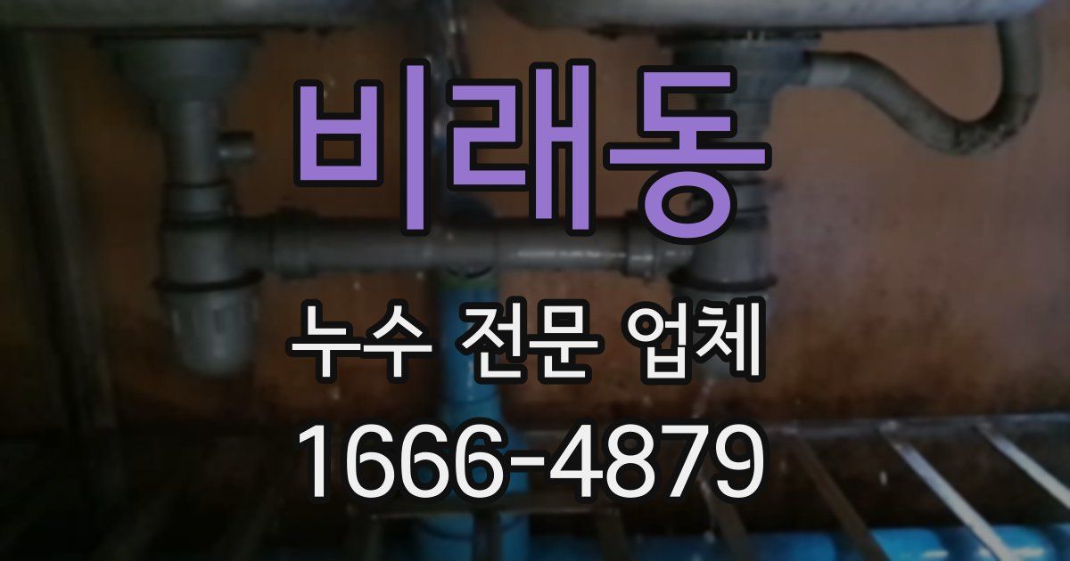 비래동 누수 전문 업체