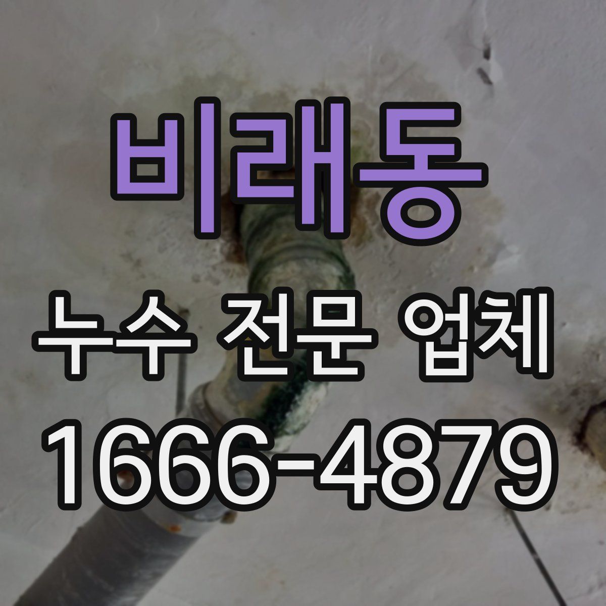 비래동 누수 전문 업체
