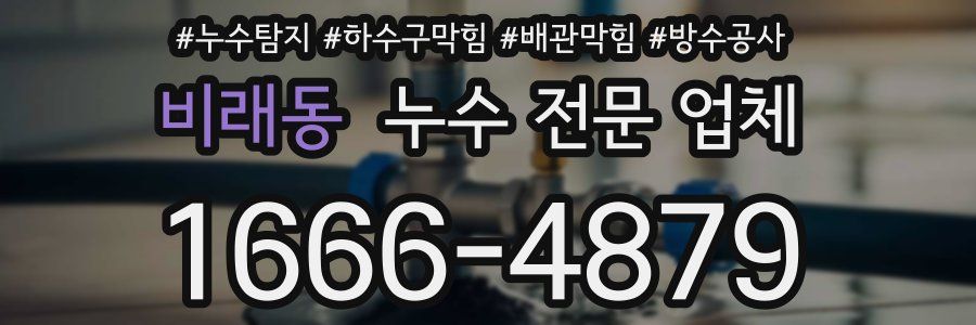 비래동 누수 전문 업체