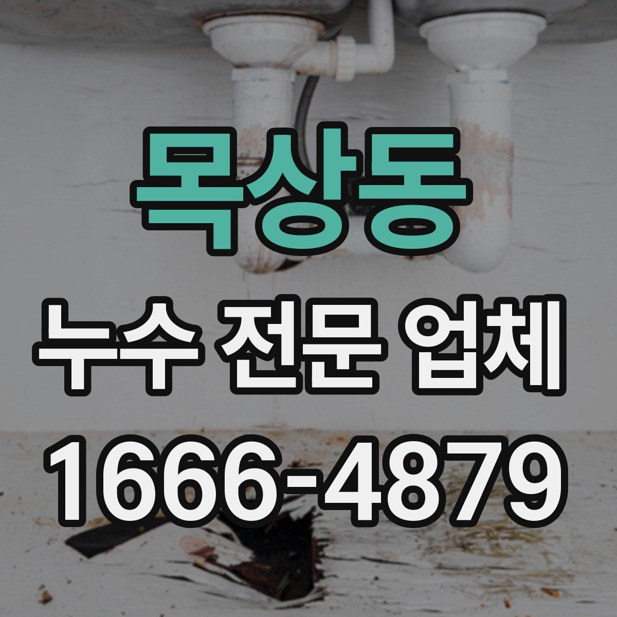 목상동 누수 전문 업체