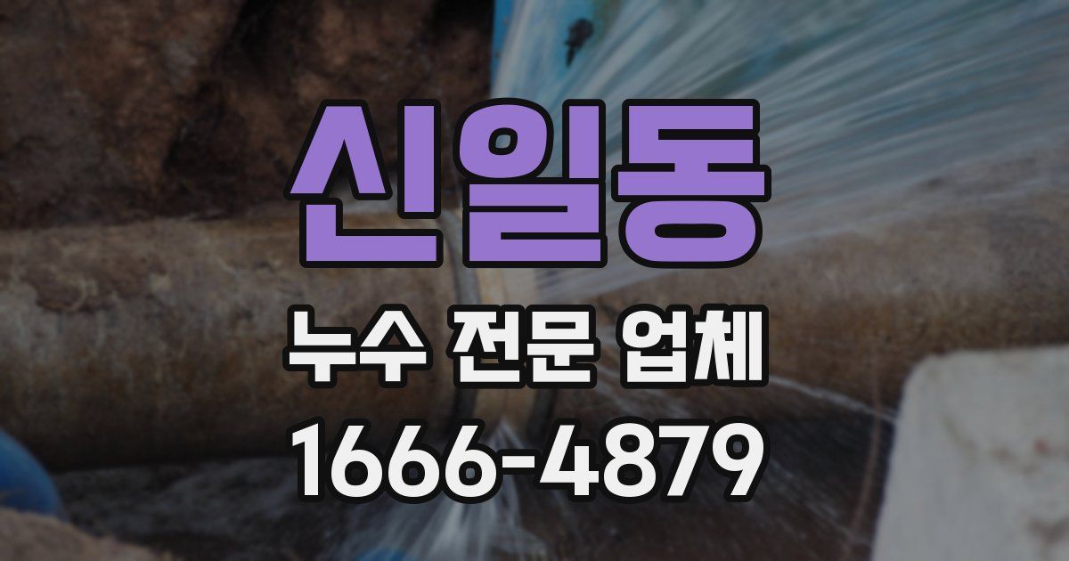 신일동 누수 전문 업체