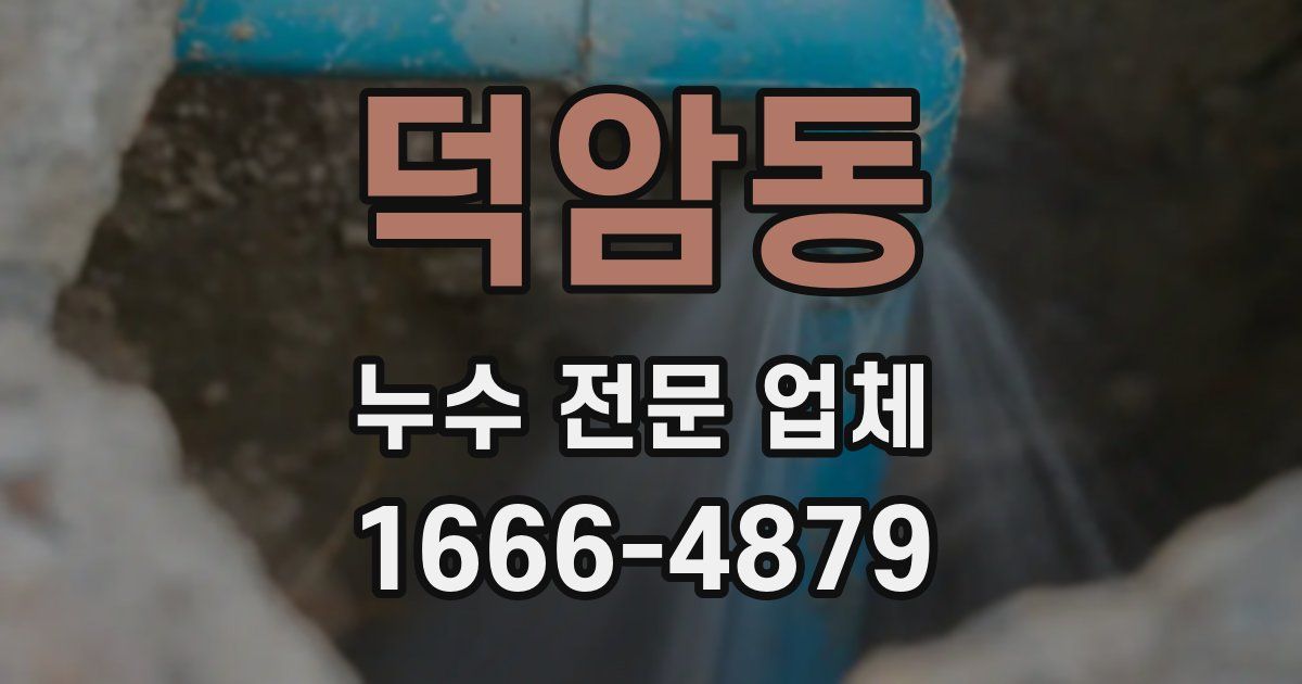 덕암동 누수 전문 업체