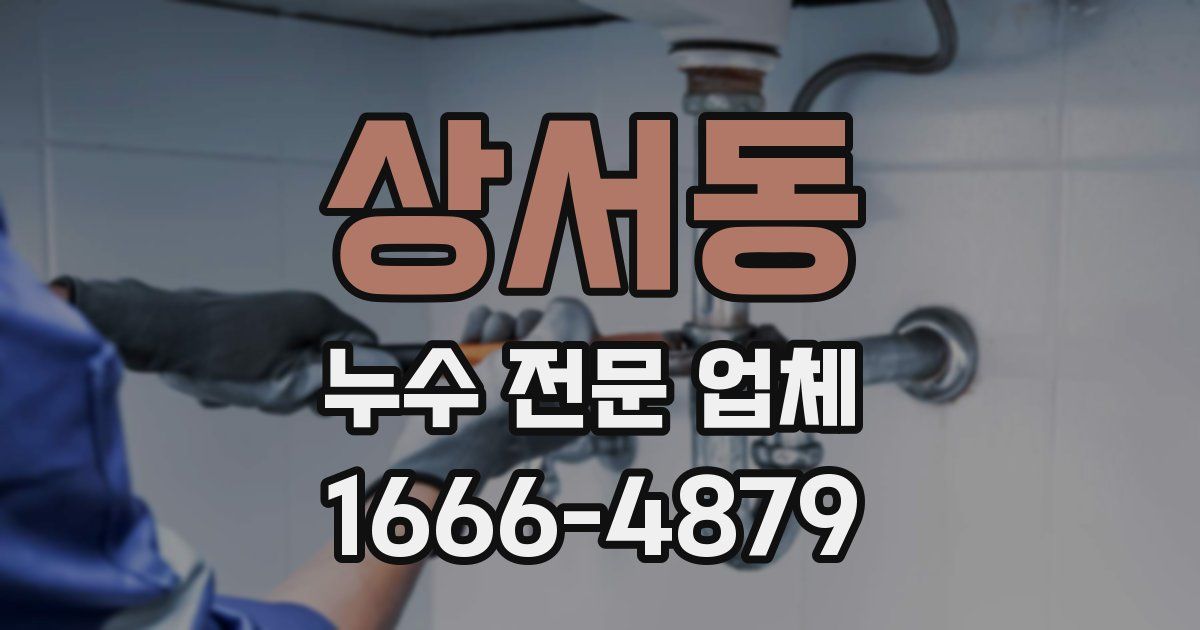 상서동 누수 전문 업체